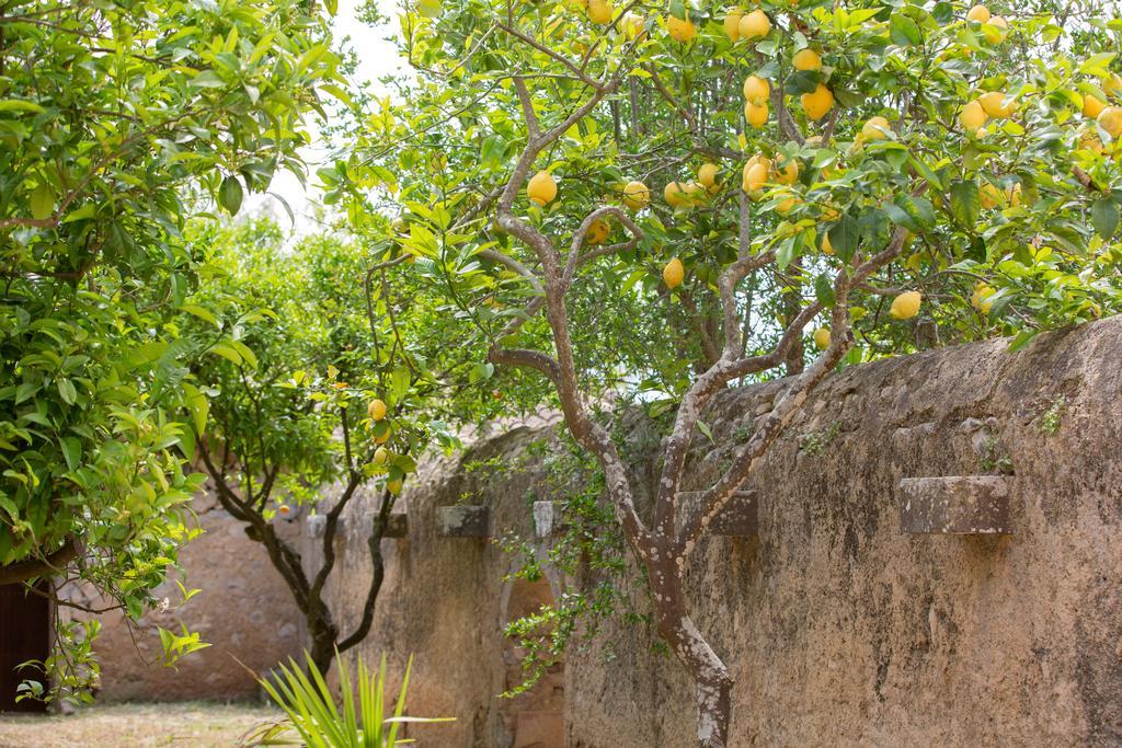 Agroturismo Es Pla De Llodrá Manacor  Exterior foto