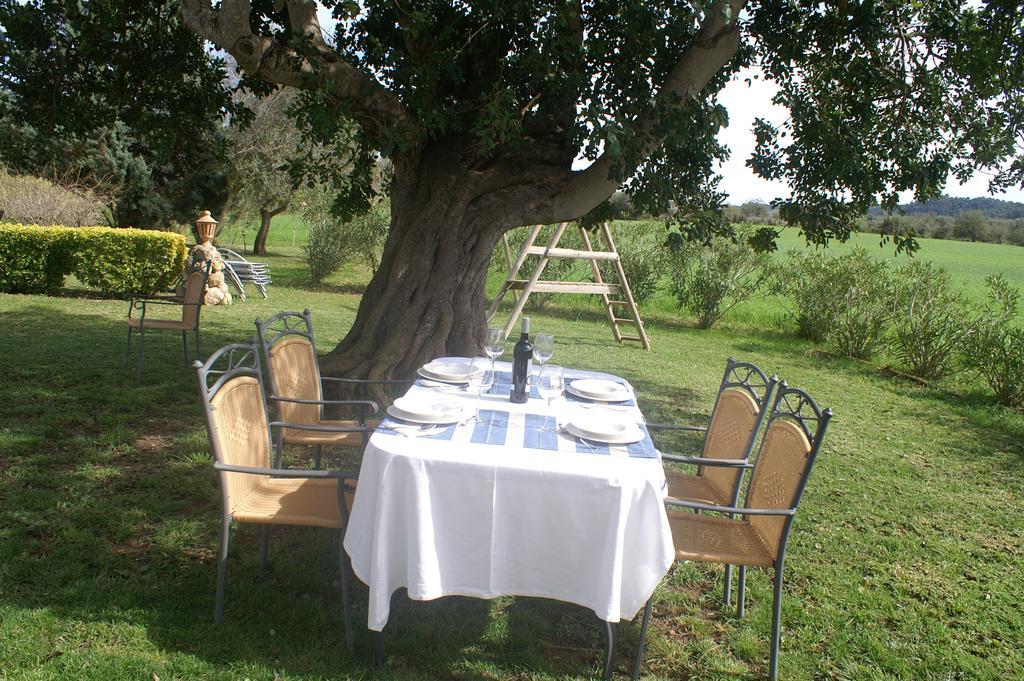 Agroturismo Es Pla De Llodrá Manacor  Quarto foto